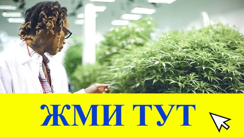 Купить наркотики в Пересвете